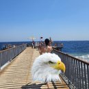 Fun City | [이집트 여행] 후르가다 올인클루시브 Serenity Fun City 리조트에서 놀고 먹고 프리다이빙