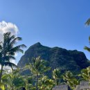 모산방 | [모리셔스 신혼여행] 모리셔스 디나로빈 비치콤버 숙소 후기 Part.1