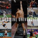 자연의 움직임 이미지