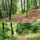 비슬산둘레길 1구간 이미지