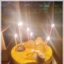 장인미역 이미지