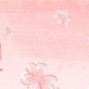 (JJ)일본유학 이미지