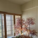 하루방 | [스시하루방｜경주스시오마카세｜스시하루방런치후기｜경주용강동맛집]