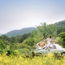 윤포토스튜디오 - 창원시 성산구 삼정자로51번길 7 | 윤포토스튜디오