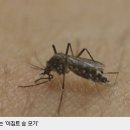 (주)지카 이미지