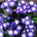 아름다운 인생이야기 이미지