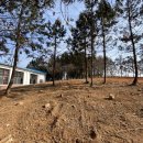 아산중학교 이미지