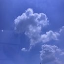 이뉴펜션 | 포천 이뉴펜션 풀빌라 여름힐링휴가 계곡