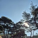유가사 - 달성군 유가면 | 대구 비슬산 등산 후기｜유가사 원점회귀 코스 11km (천왕봉·조화봉·대견사)