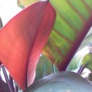 창가약국 이미지