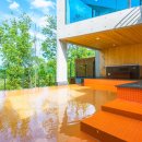 까미노데플로레스타1 이미지