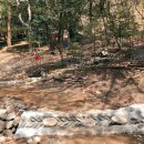 대신공원 숲길 이미지