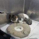 박형우동물병원 이미지