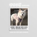 군산시-01219 이미지