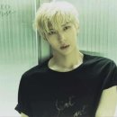레오 이미지