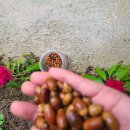 산속농장 이미지