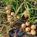 최재명농장 이미지