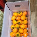 서리맞은 대봉감 10kg 34과 이하 택포함 3만원 입니다 이미지