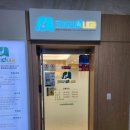 오천속내과의원 | 대구 백일해 주사 저렴한 내과 추천 코끼리속내과
