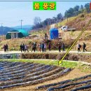 맑은자리 이미지