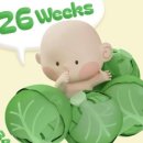 서천(목포) 이미지