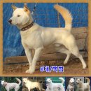 백화화원 이미지