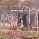 송림가든 이미지