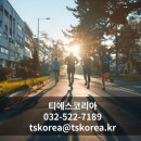 티에스데이터