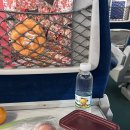 11650-16-91-2 | 1박2일 짧고 굵게 부산에서 벚꽃 구경하고 온 후기