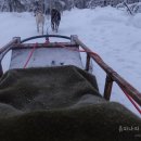 로바니코 이미지