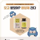 대성이벤트
