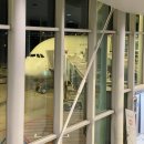A380 | 시드니 여행 항공편✈️ 아시아나 비행후기 A380 OZ601/OZ602