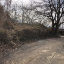 예스부동산중개주식회사 이미지