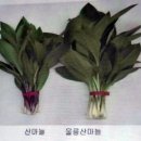 평창군농업기술센터 진부분소 | 강원도엔 특화작물연구소가 있어요