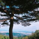 정돈까스 이미지