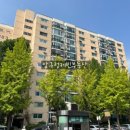 압구정-104 이미지