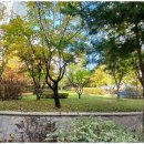 엠밸리공인중개사사무소 이미지