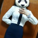샤로 Daum카페