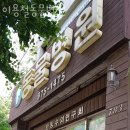 이용철동물병원 | 고양 일산동 동물병원 이용철동물병원 위치 오는길 후기