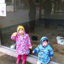 대전 동물원 이미지