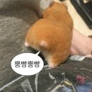 선라이즈키친