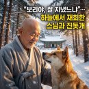 송운사대한불교삼보조계종 | 영월 법흥사 삼보스님 원적 뜻, 전재산 30억 기부와 한국기행 반려견 보리 근황
