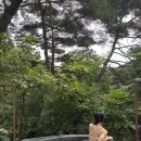 몽땅 포레스트 | 제천 리솜포레스트｜해브나인 스파 찐후기! (할인방법,웨이팅 눈치게임, 몽땅즐기기꿀팁)