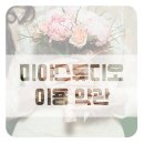 미야스튜디오