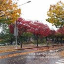 스킨엠디코스 송촌점