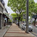 제천황기명태영월점 이미지