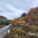 골프 가족텔 이미지