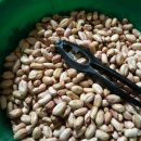 오번리 농장 이미지