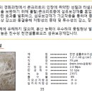 섬유보강재 _ 와이어메시 대체용 이미지