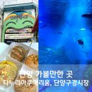 단양 가볼만한곳 다누리아쿠아리움, 단양구경시장 먹거리 맛집
